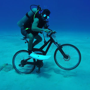 Meet your Posher, Carter